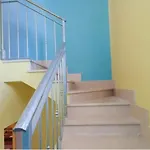 Mavi E Sari Ev