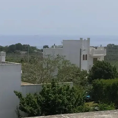 Mavi E Sari Ev